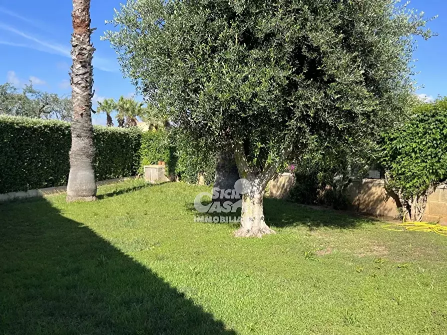 Immagine 2 di Terreno edificabile in affitto  in Contrada Berbaro a Marsala