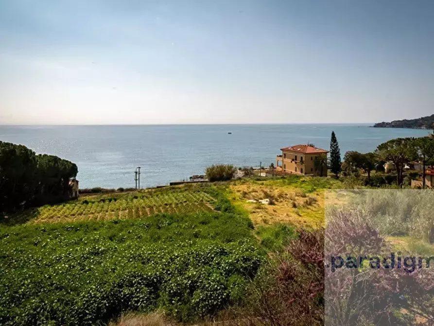 Immagine 13 di Terreno edificabile in vendita  a Ventimiglia