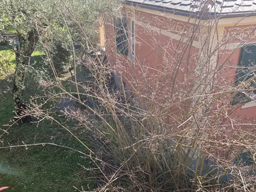 Immagine 11 di Terreno edificabile in vendita  in Via Domenico Canata a Avegno