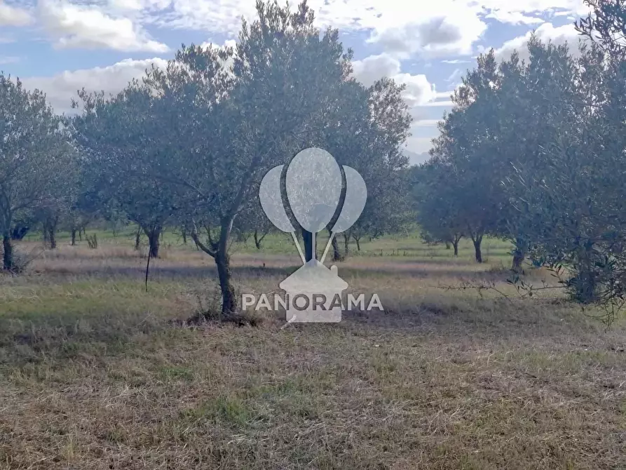 Immagine 23 di Terreno in vendita  in Contrada Manostalla a Balestrate