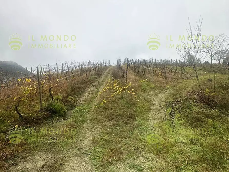Immagine 26 di Terreno edificabile in vendita  in Località Lago, 15 a Albaredo Arnaboldi