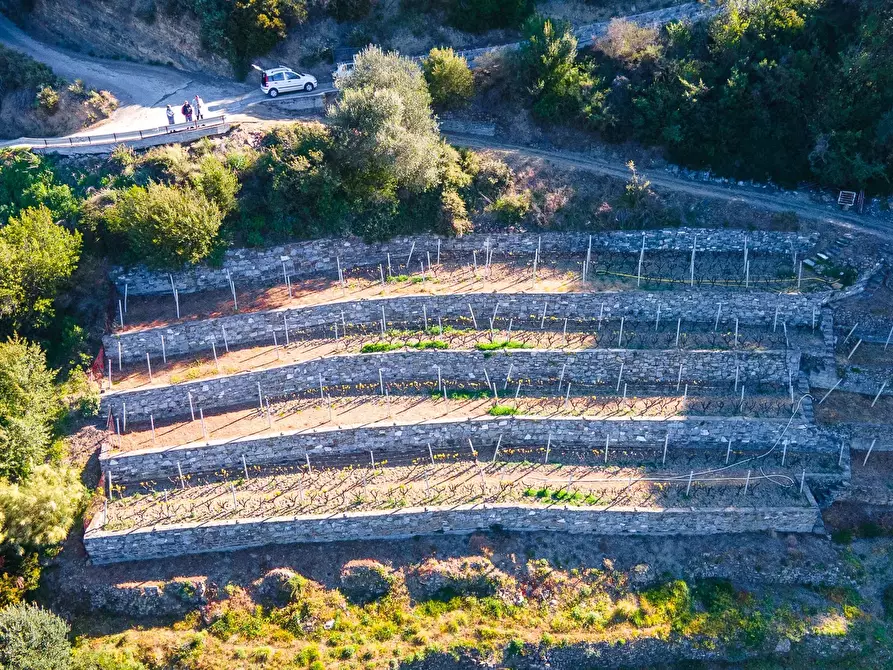 Immagine 8 di Terreno in vendita  a San Biagio Della Cima