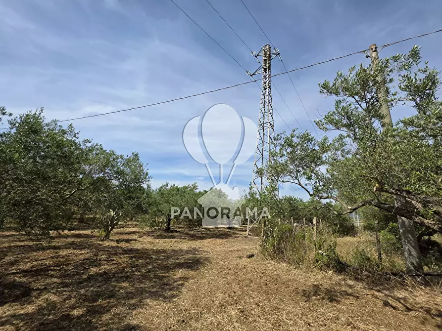 Immagine 1 di Terreno in vendita  in Strada Provinciale 81 a Partinico