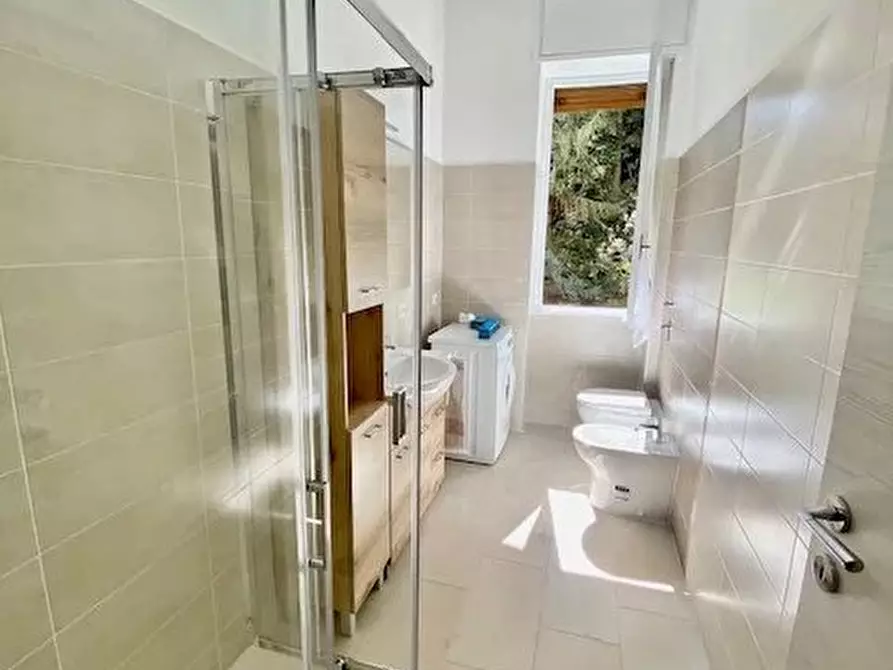 Immagine 17 di Casa trifamiliare in affitto  a Brugherio