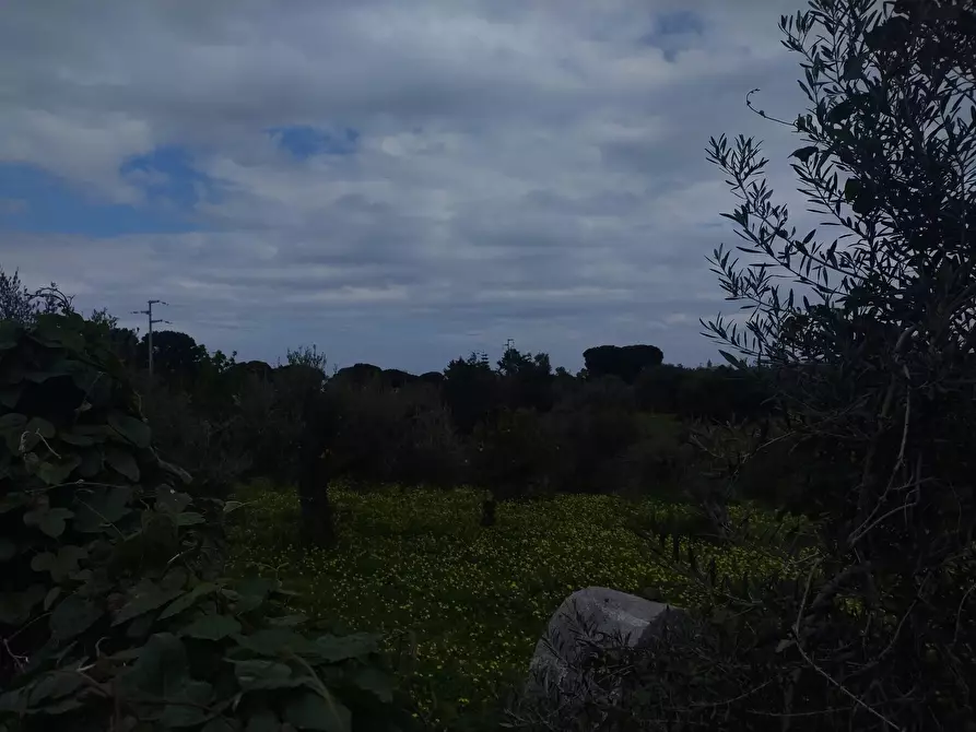 Immagine 4 di Terreno in vendita  in Contrada Malapezza a Messina