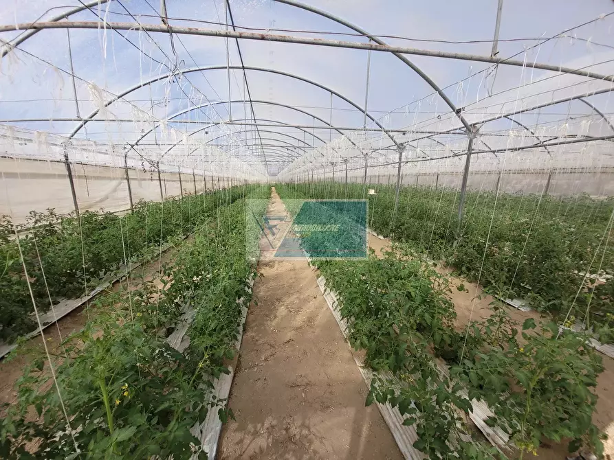 Immagine 4 di Attico in vendita  in CONTRADA GRANELLI a Pachino