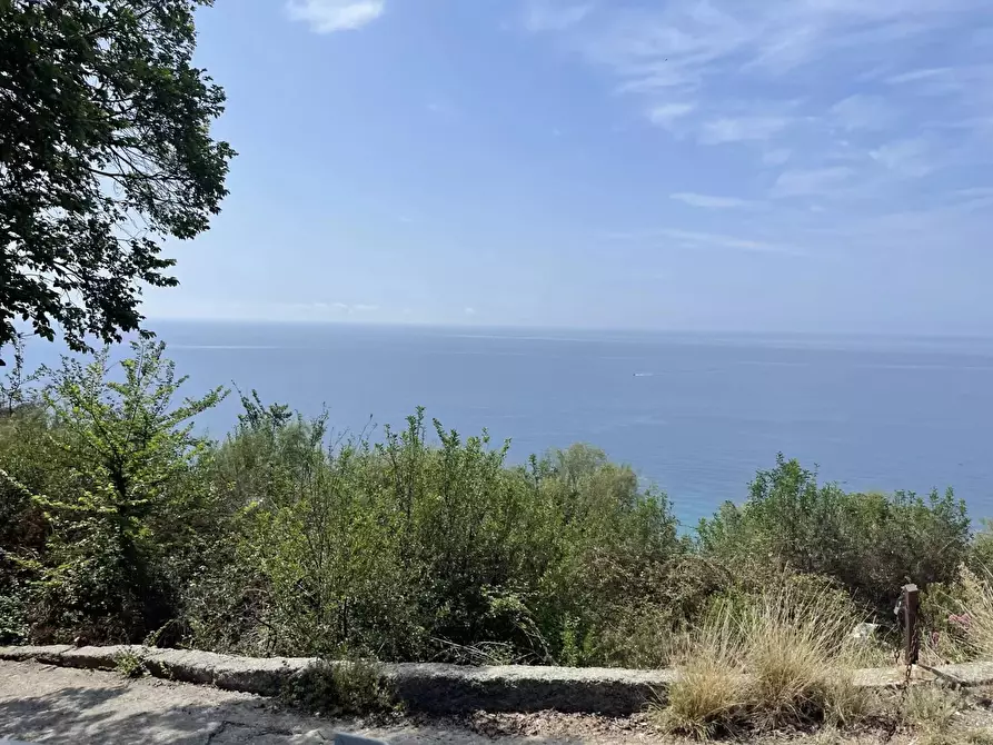 Immagine 19 di Casa trifamiliare in vendita  a Ventimiglia