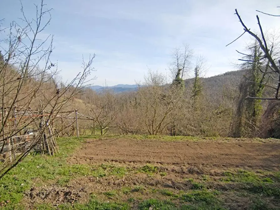 Immagine 4 di Terreno edificabile in vendita  a Albaretto Della Torre