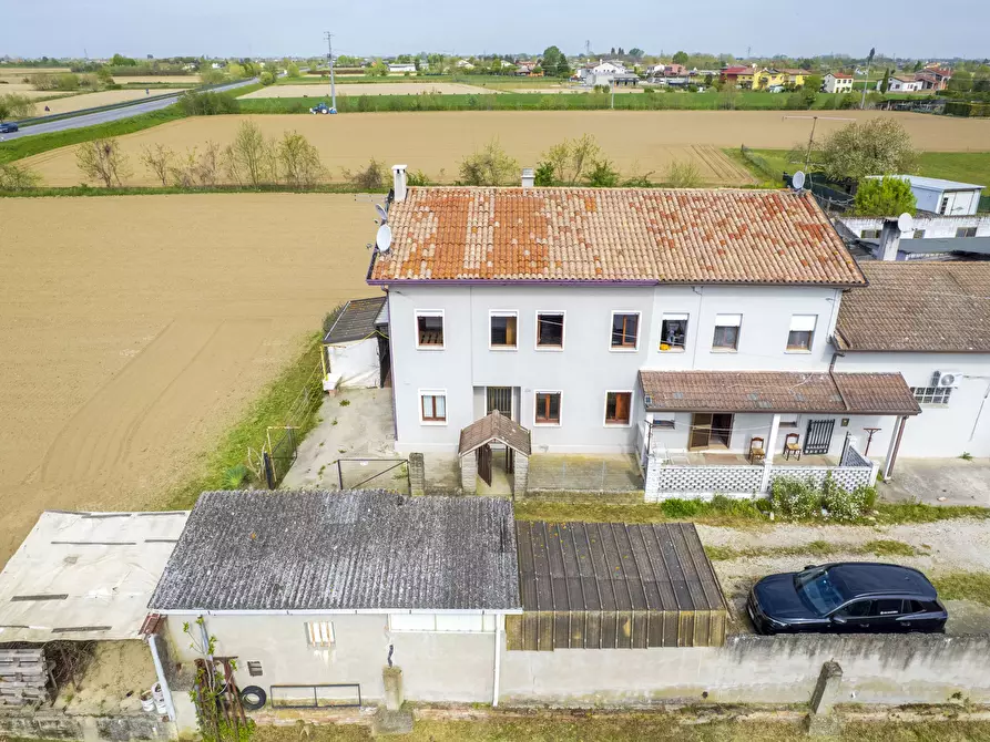 Immagine 49 di Terreno edificabile in vendita  a Campagna Lupia
