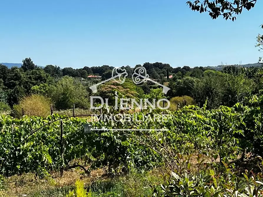 Immagine 21 di Terreno edificabile in vendita  in Strada Valle del Dragone a Arlena Di Castro