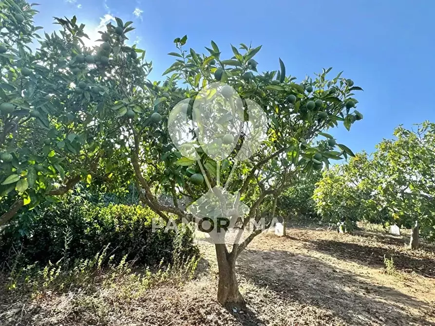 Immagine 35 di Terreno edificabile in vendita  in Contrada Casale a Alcamo