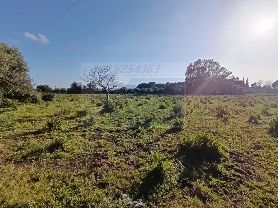 Immagine 4 di Terreno in vendita  in Traversa Masseria Gargallo a Siracusa