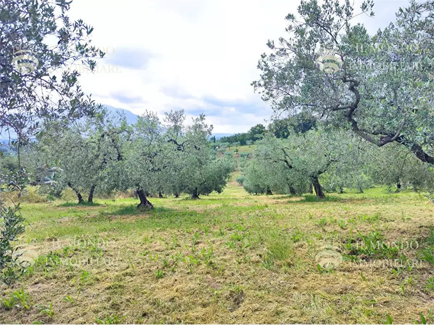 Immagine 10 di Casa bifamiliare in vendita  in Strada di Colle Fagiano a Palombara Sabina