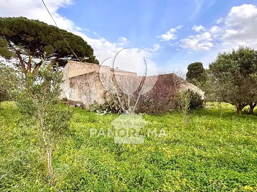 Immagine 10 di Terreno edificabile in vendita  in Contrada Bosco Falconeria SNC, 90047 Partinico PA, Italy a Partinico