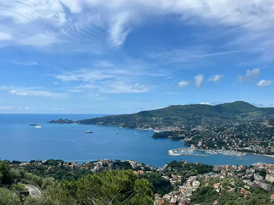 Immagine 7 di Terreno edificabile in vendita  in Via San Bernardo a Avegno
