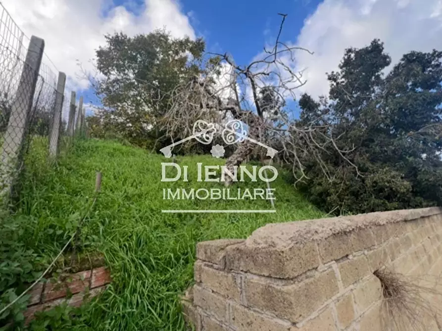 Immagine 7 di Terreno edificabile in vendita  in Via di Casal Selce a Roma