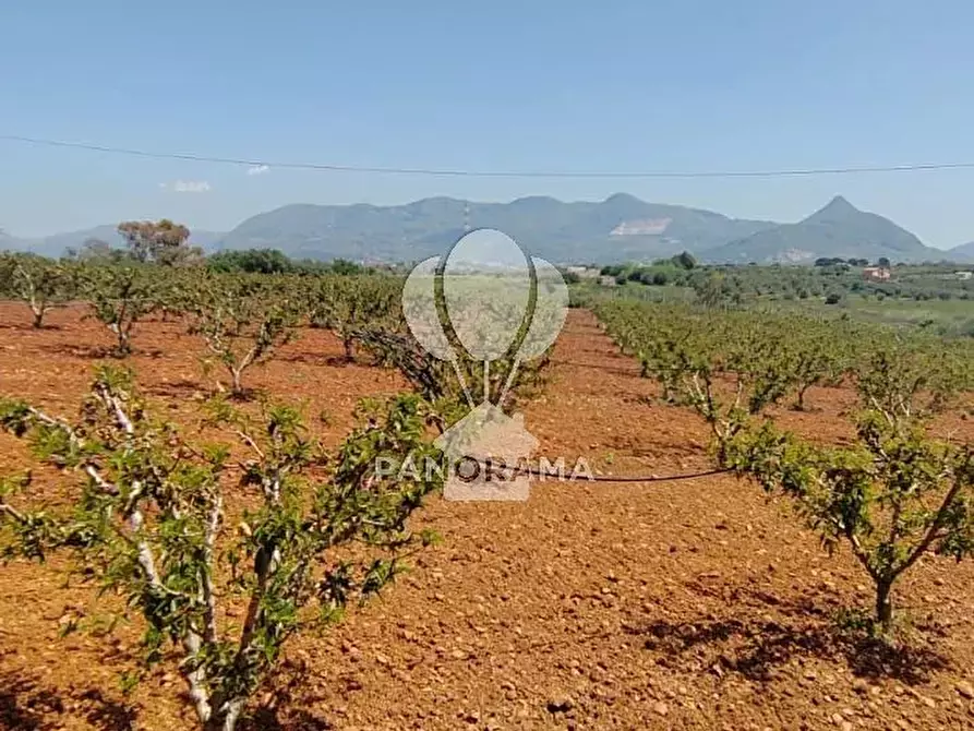 Immagine 9 di Terreno in vendita  in Via Adda Partinico a Partinico