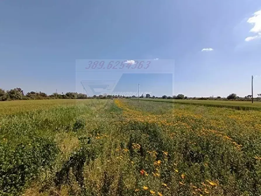 Immagine 7 di Terreno in vendita  in Strada Benali a Siracusa