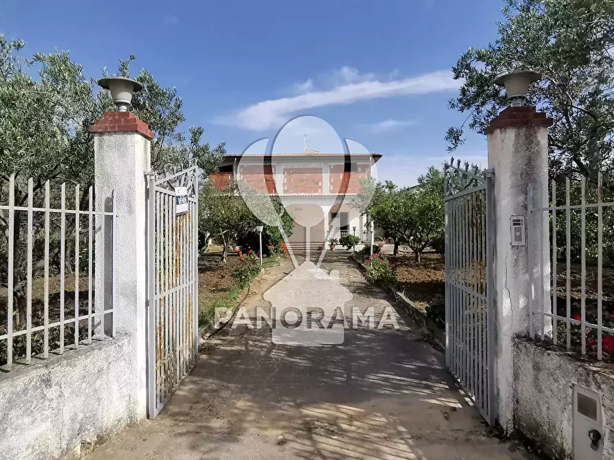 Immagine 1 di Terreno edificabile in vendita  in Agriturismo Margi Soprano - Menù fisso - Grigliata - Aperti Sabato e Domenica a Pranzo a Partinico