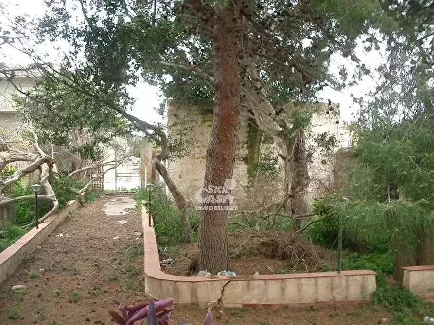 Immagine 4 di Terreno edificabile in vendita  a Marsala