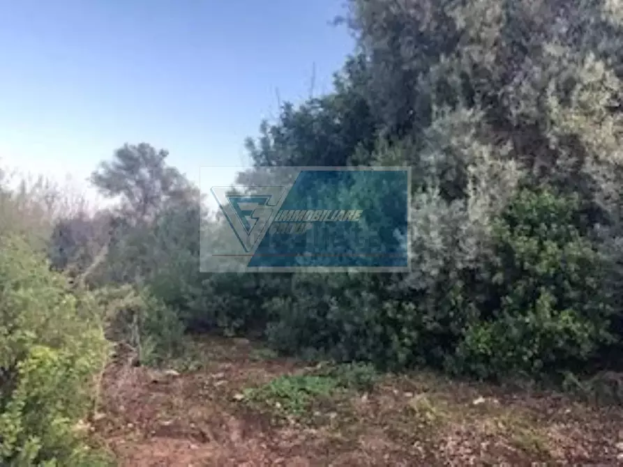 Immagine 5 di Terreno in vendita  in Via Brancati a Buccheri