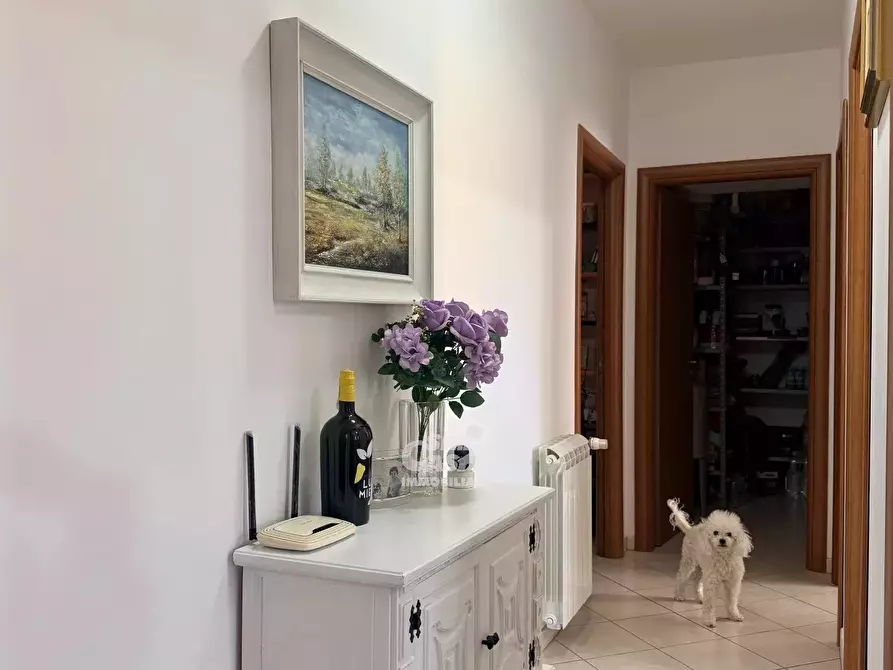 Immagine 13 di Casa trifamiliare in vendita  a Marsala