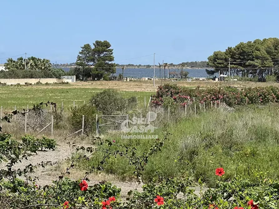 Immagine 9 di Terreno edificabile in vendita  a Marsala