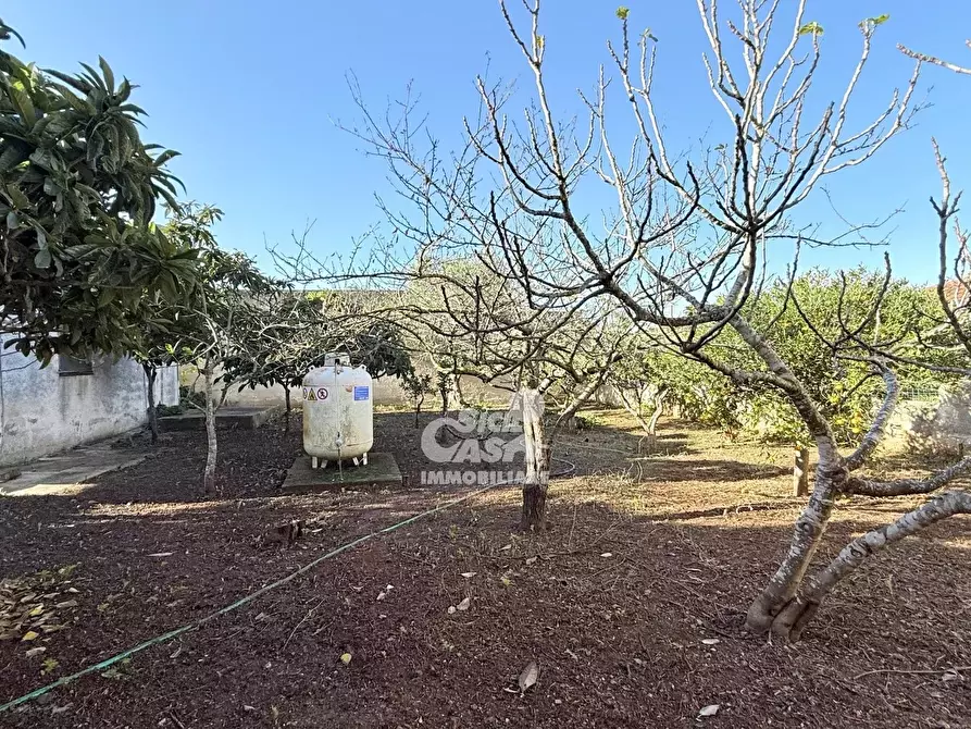 Immagine 12 di Terreno edificabile in vendita  in Contrada San Giuseppe Tafalia, 309 a Marsala
