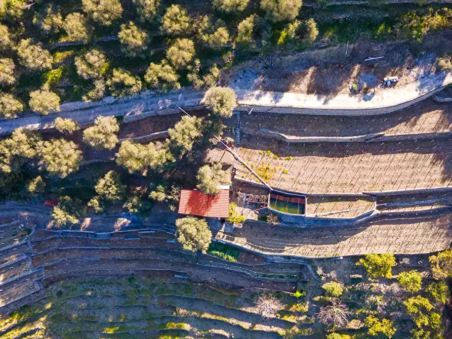 Immagine 2 di Terreno in vendita  a San Biagio Della Cima