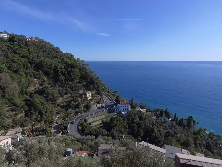 Immagine 25 di Terreno edificabile in vendita  in San Pietro de Rovereto a Avegno