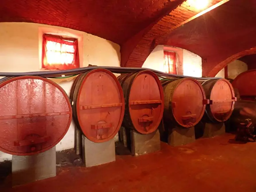 Immagine 36 di Terreno edificabile in vendita  a Barolo