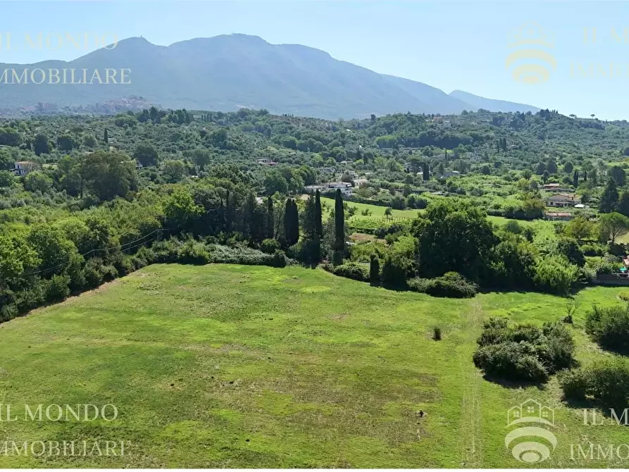 Immagine 12 di Terreno in vendita  in Località Albanetta a Palombara Sabina