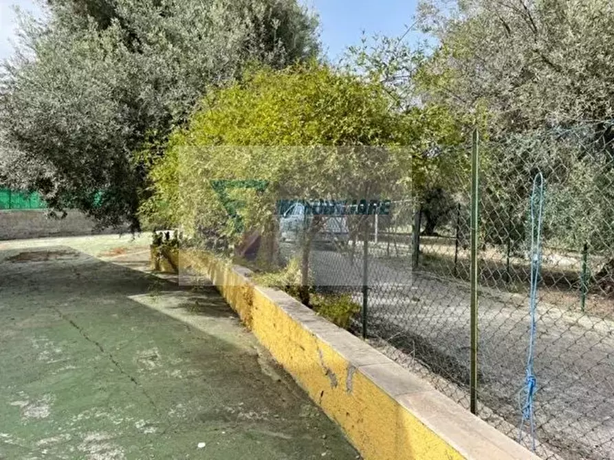 Immagine 14 di Terreno edificabile in vendita  in Ronco Tarantello a Siracusa