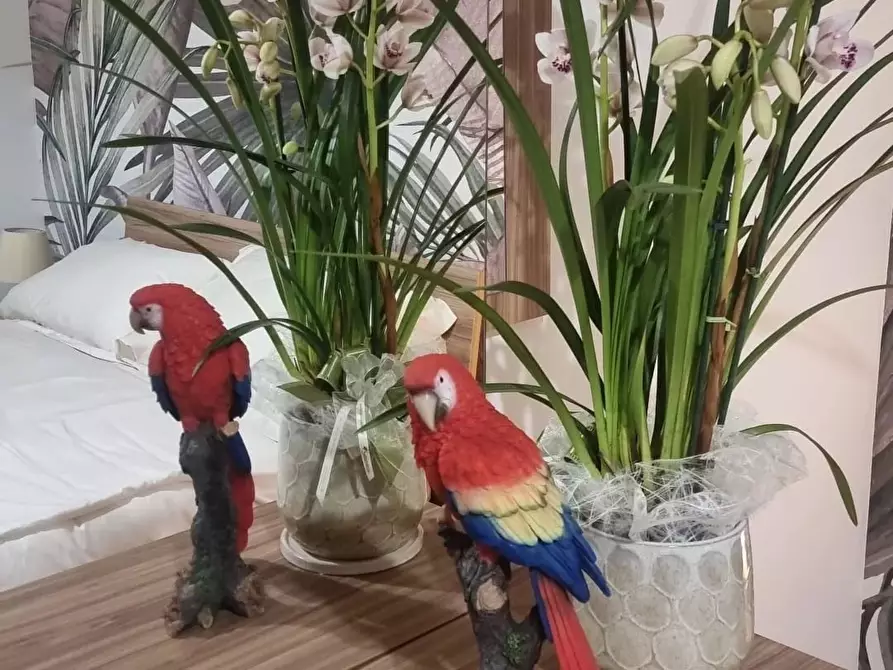 Immagine 8 di Casa trifamiliare in affitto  in Via Giuseppe Luosi a Milano