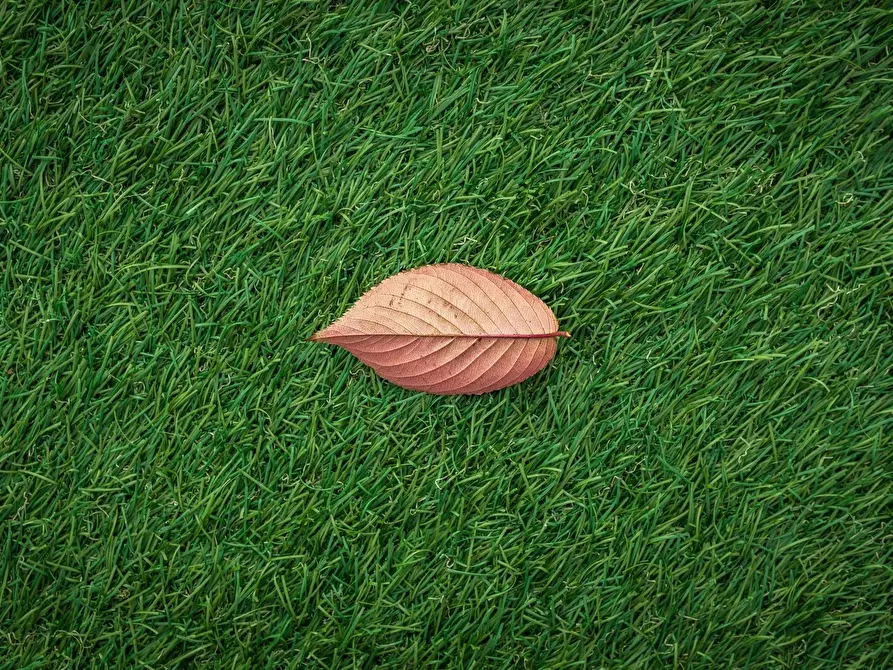 casa indipendente in vendita ad Albignasego