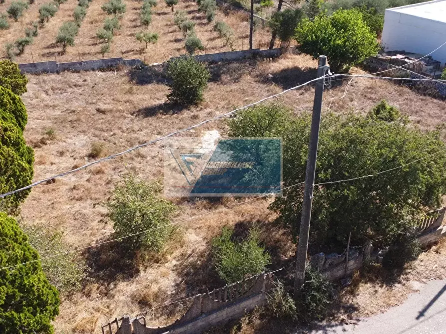Immagine 27 di Terreno in vendita  a Avola