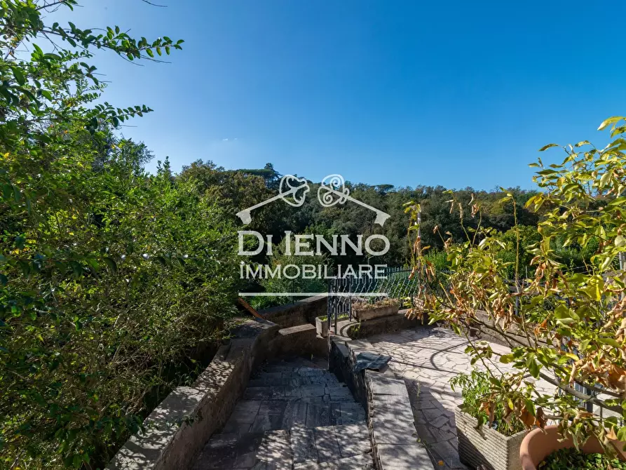 Immagine 27 di Terreno edificabile in vendita  a Canale Monterano