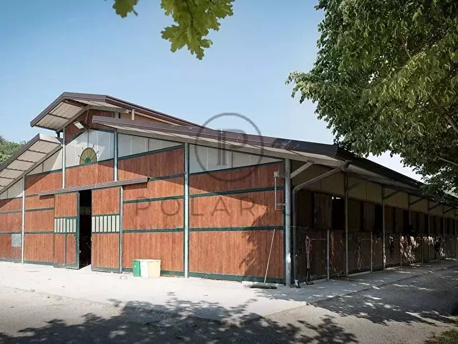 Immagine 24 di Terreno edificabile in vendita  in Pesaro a Pesaro