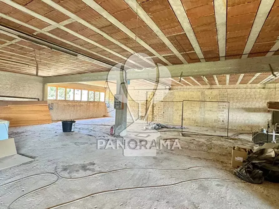 Immagine 6 di Terreno edificabile in vendita  in via galileo galilei a Castellammare Del Golfo