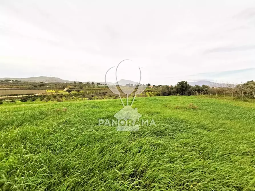 Immagine 1 di Terreno in vendita  in B&B falconeria a Partinico