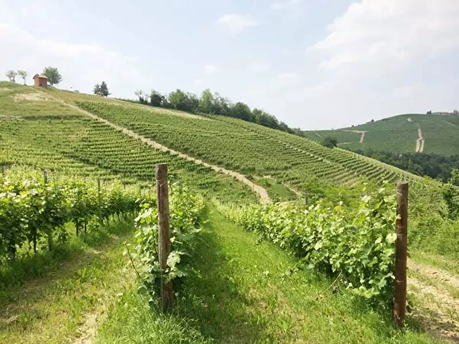 Immagine 1 di Terreno in vendita  a Monforte D'alba