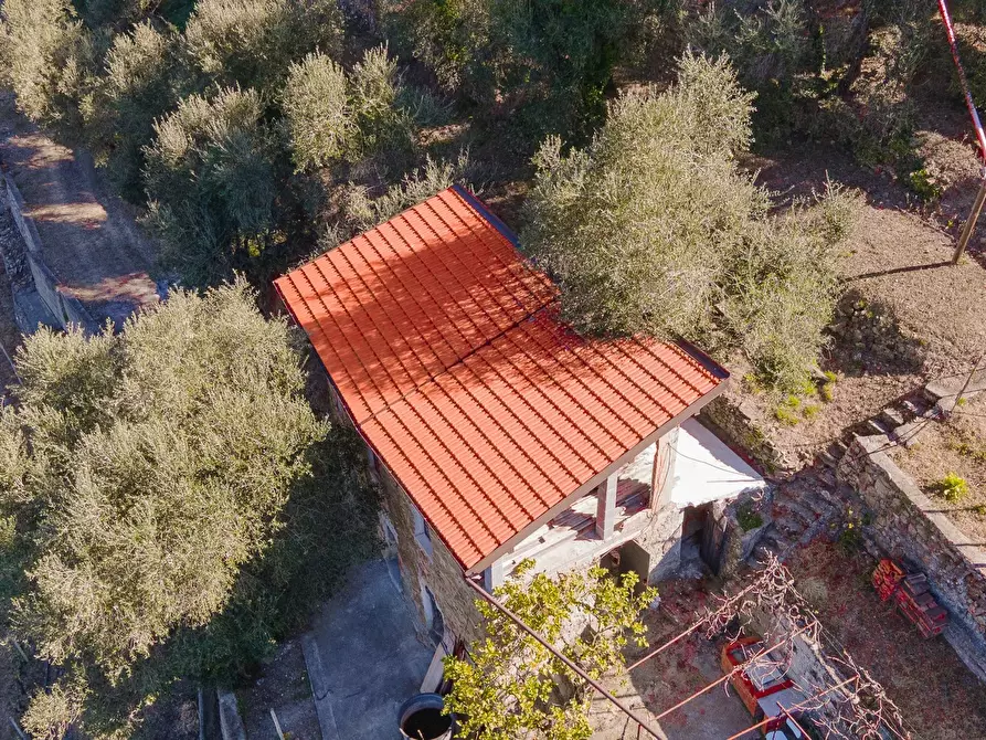Immagine 12 di Terreno in vendita  a San Biagio Della Cima