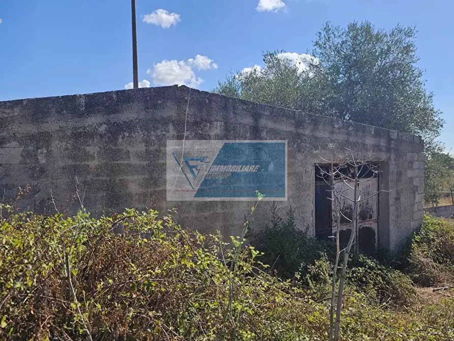 Immagine 7 di Terreno in vendita  a Avola