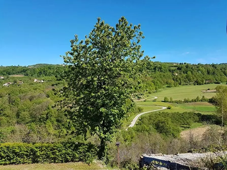 Immagine 21 di Terreno edificabile in vendita  a Albaretto Della Torre