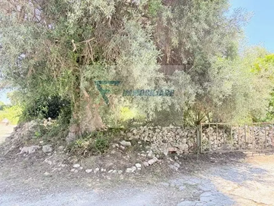 Immagine 7 di Terreno in vendita  in Via Attilio Regolo a Siracusa