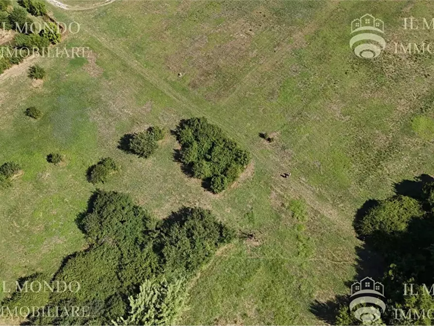 Immagine 9 di Terreno in vendita  in Località Albanetta a Palombara Sabina