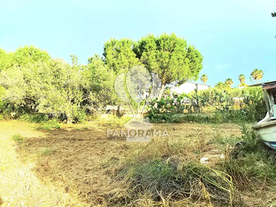Immagine 17 di Terreno edificabile in vendita  in SS113 a Partinico