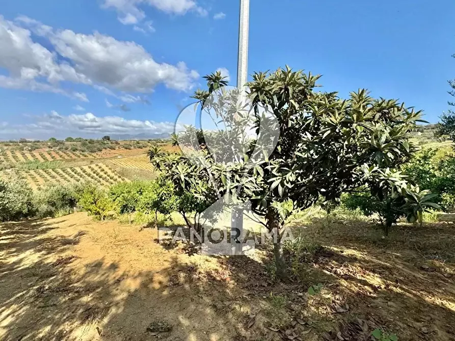 Immagine 29 di Terreno edificabile in vendita  in Contrada Casale a Alcamo