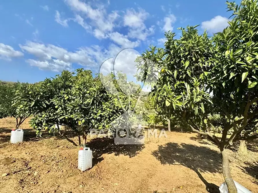 Immagine 15 di Terreno edificabile in vendita  in Contrada Casale a Alcamo