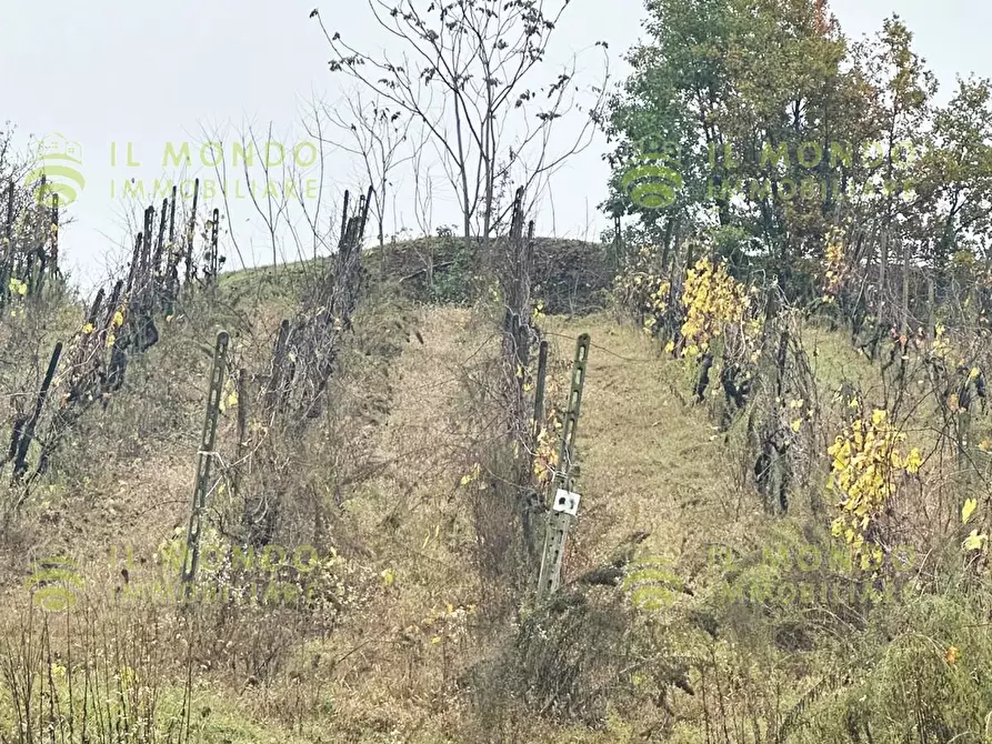 Immagine 24 di Terreno edificabile in vendita  in Località Lago, 15 a Albaredo Arnaboldi